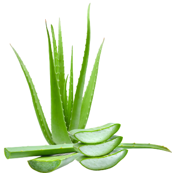 Aloe Vera Leaf Juice