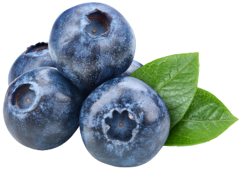 Blueberry powder