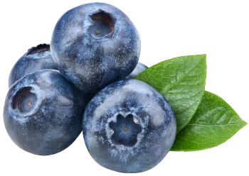 Blueberry extract