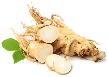 Siberian ginseng