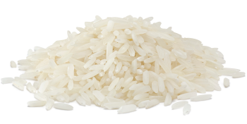 Rice protein