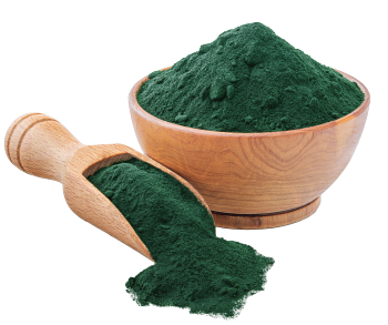 Spirulina